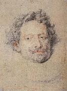 Peter Paul Rubens Dige painting